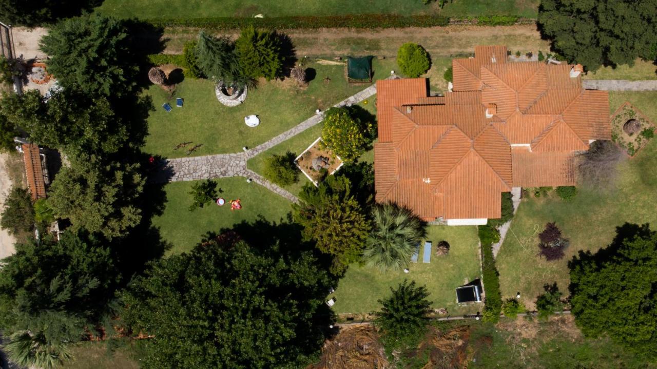 Villa Palmera Ierissós Zewnętrze zdjęcie