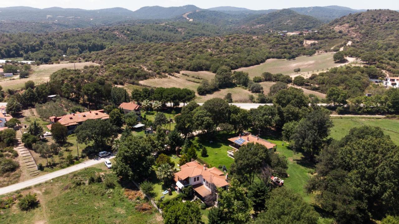 Villa Palmera Ierissós Zewnętrze zdjęcie